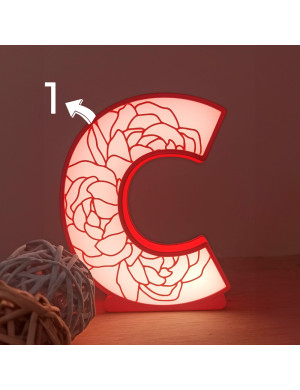 Letter night light